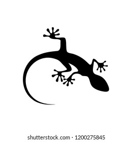 Gecko top view shape symbol