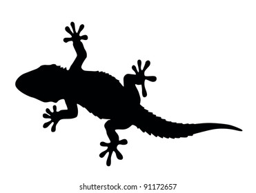 gecko vector