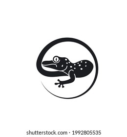 Plantilla de diseño de ilustración de icono de vector Gecko