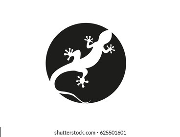 Gecko vector illustration isolated on a white background