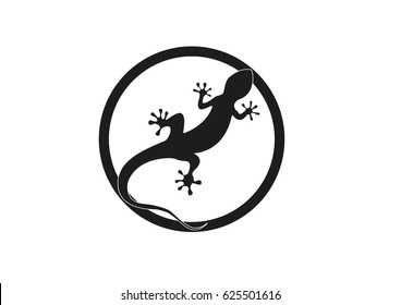 Gecko vector illustration isolated on a white background