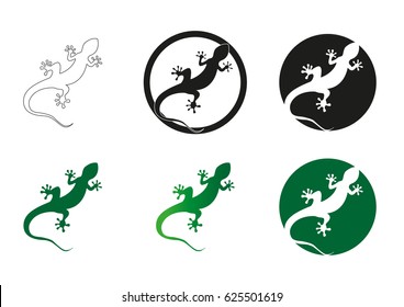 Gecko vector illustration isolated on a white background