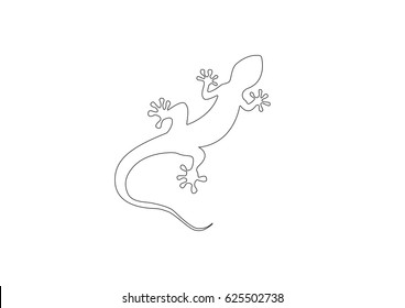 Gecko vector illustration isolated on a white background