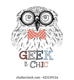 geek owl portrait, hand drawn graphic, animal illustration