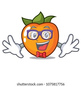 Geek persimmon character cartoon style