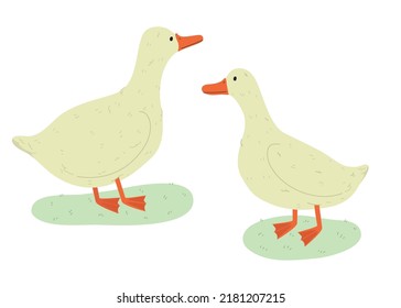 Geese  Cute vector cartoon style illustration for children 