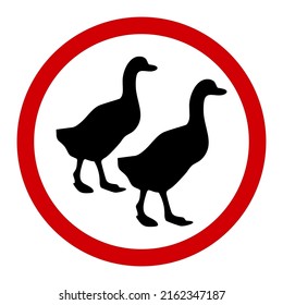 Geese or ducks, red round warning sign, vector illustration