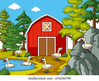 Geese in the farm illustration