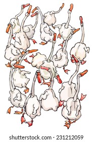 Geese at a farm on white background. Watercolor. VECTOR. 