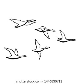 Geese flock, birds triangle. Sketch, hand drawing. Black outline on white background. Vector illustration