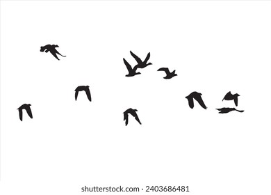 Geese flying with a natural distribution. Vector images. White background. 