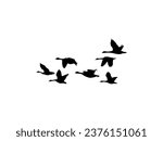 Geese flying to sky. Canada goose silhouette design. wild duck flying in group. Flock of Silhouetted Geese Flying Against a White background. 