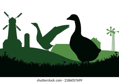 Geese grazing. Near farmer buildings. Scenery silhouette. Pasture on meadow. Agricultural farm bird. Rural landscape. Object isolated on white background. Vector.