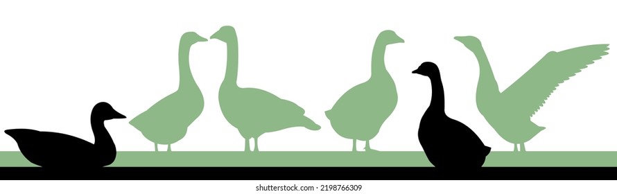 Geese Grazing. Scenery Silhouette. Agricultural Farm Bird. Object Isolated On White Background. Vector.
