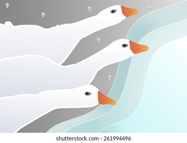 Geese on clear lake. Vector illustration