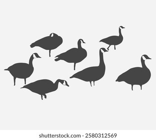 geese silhouette group on water. free vector illustration