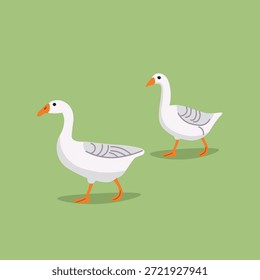 Vector de gansos. Gansos caminando sobre un fondo verde.