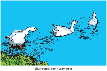 Geese. Vector illustration. 3 