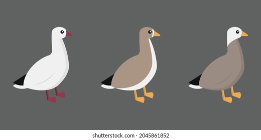 Geese vector illustration on a gray background