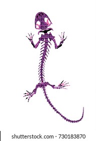 Gekko Ancient Skeletons Vector art