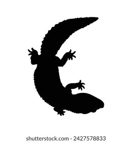 Gekko gecko silhouette, black on a white background