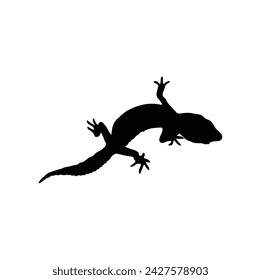 Gekko gecko silhouette, black on a white background