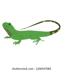 
Gekkonidae flat icon vector graphic 
