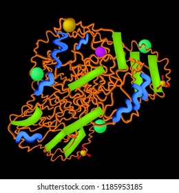 Gelatinase is a molecular chemical formula. Enzyme of the stomach. Infographics. Vector illustration on black background.
