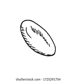 Gelatinous capsule drug with antiviral molecule. Medical equipment. Vector hand drawn sketch in realistic doodle style. Coffee bean, grape, olive vegetable isolated on white background.