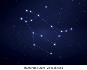 Gemini constellation in night sky