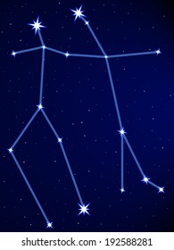 Gemini constellation on the starry sky