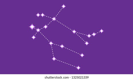 Gemini constellation vector design