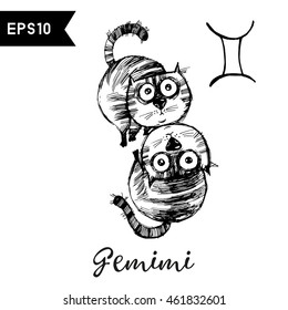 Gemini. Vector funny zodiac cats 