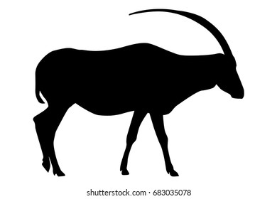 Gemsbok. Black silhouette. Vector illustration isolated on white background