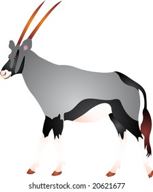 gemsbok vector