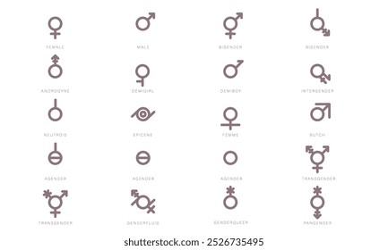 Gender Diversity Monochrome Icons Set. Black gender icons. Representation of people of different genders