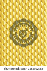 gender dysphoria icon inside gold shiny emblem. Scales pattern. Vector Illustration. Detailed.
