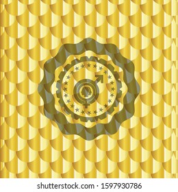 gender dysphoria icon inside gold badge or emblem. Scales pattern. Vector Illustration. Detailed.