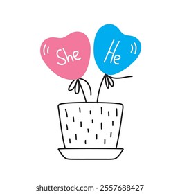 Gender identity concept, pot with he and she balloons in heart shapes.