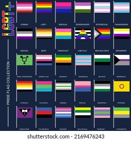 Gender Identity Pride Flags Set Lgbt Stock Vector (Royalty Free ...