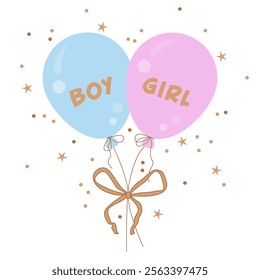 Gender party. Gender reveal or birthday party background with pink and blue balloon. Pink and blue balloons and confetti background with copy space for festive gender reveal party or baby shower