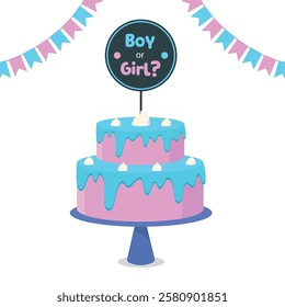 Gender reveal cake. Surprise for future parents. Boy or girl. Gender party decor.