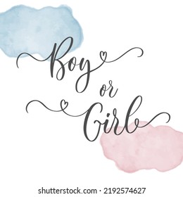 Gender Reveal calligraphy banner Boy or Girl. Calligraphy lettering with watercolor spot. Vector template for Baby shower party decoration, invitation, announcement , poster, etc