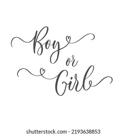 Gender Reveal calligraphy inscription Boy or Girl. For Baby shower party invitation.