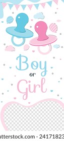 Gender reveal party background. Boy or girl reveal party. gender party. Baby's gender reveal party celebration. Vector Illustration design for Poster, Banner, Invitation Card. blue and pink color.