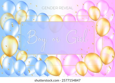 gender reveal gender party. boy or girl