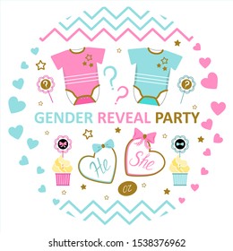 Gender Reveal Party He She Question Stock Vector Royalty Free