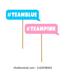 Gender reveal party photo booth prop on sticks. Blue and pink team signs.