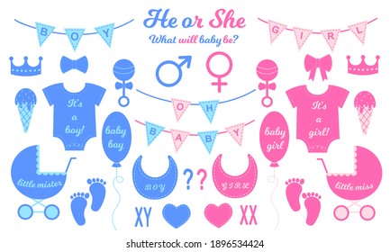 Gender reveal party set. Props for baby shower celebration. Boy or girl elements. Vector flat illustration for greeting cards, invitations, banners.