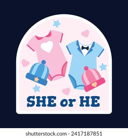 gender reveal party sticker. gender party sticker. boy or girl sticker. blue and pink color. Baby's gender reveal party. Vector Illustration design. Boy or girl reveal party.